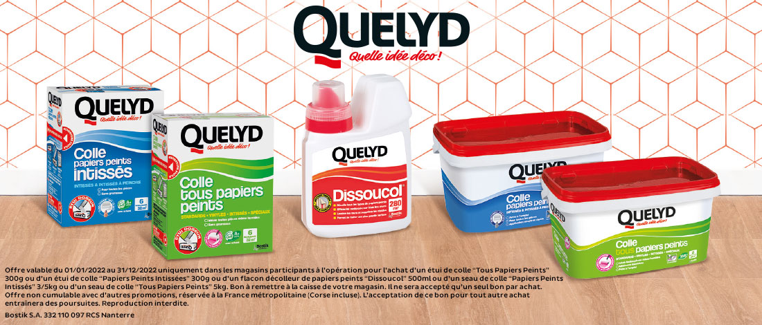 diy-quelyd-promotion-bri-2021