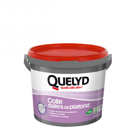 30613529 Coller des dalles au plafond 	